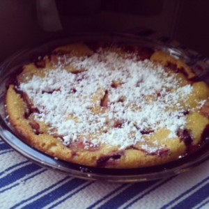 plum  crustless tart